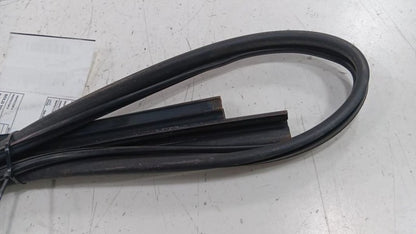 Hyundai Elantra Door Glass Window Seal Rubber Right Passenger Front  2