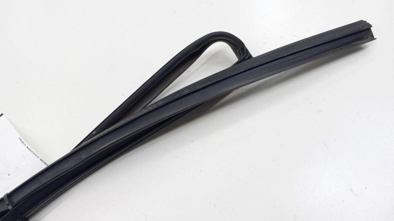 Honda Accord Door Glass Window Seal Rubber Left Rear Back 2008 2009 2010 2011