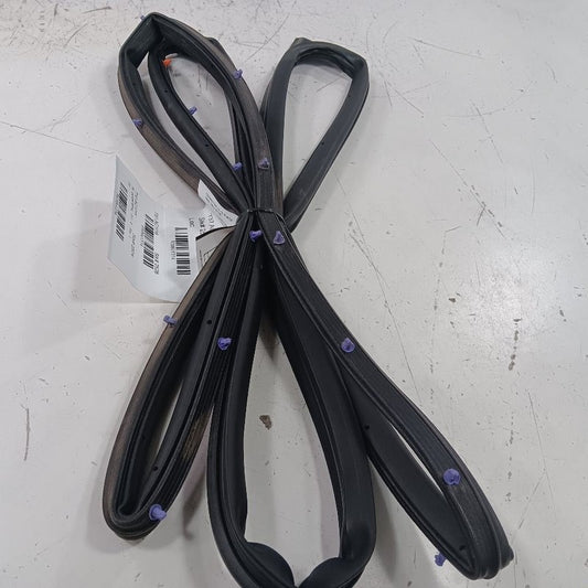 Acura ILX On Door Seal Rubber Right Passenger Front  2016 2017 2018 OE