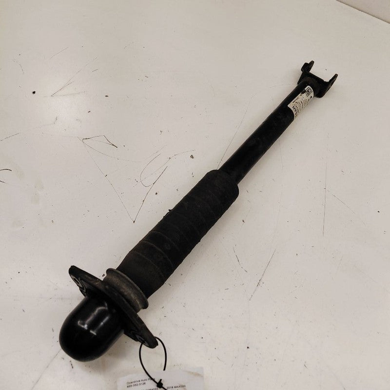 Nissan Maxima Passenger Right Rear Shock Absorber 2018 2017 2016 OEM