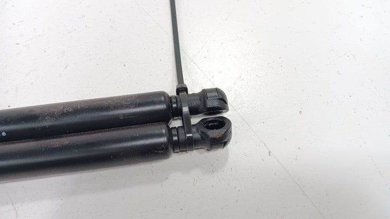 Toyota Prius Hatchback Hatch Back Trunk Lid Shock Strut Support 2015 2014 2013 