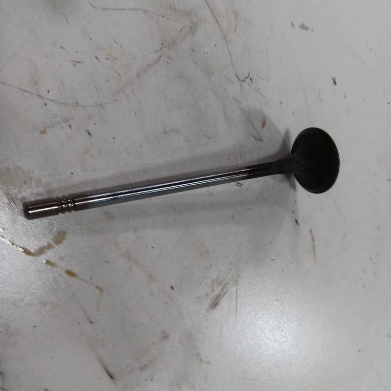 Jeep Compass 2.4 Cylinder Head Exhaust Valve 2017 2018 2019 2020 2021 2022 2023