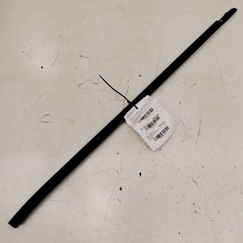 Nissan Maxima Door Glass Window Weather Strip Trim Front Left Driver  