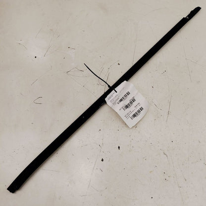 Nissan Maxima Door Glass Window Weather Strip Trim Front Left Driver  