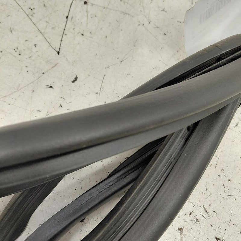 Cadillac CT6 On Door Seal Rubber Right Passenger Front  2018 2017 2016