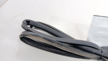 Chevrolet Equinox On Door Seal Rubber Right Passenger Rear Back 2018 2019