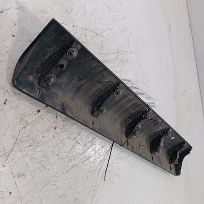Ford Taurus Door Molding Trim Strip Left Side Rear Back  2019 2018 201