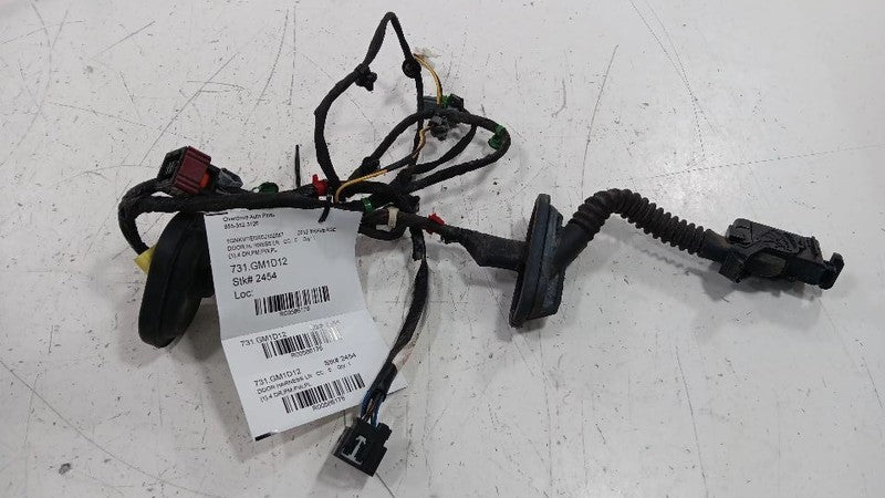 Lexus LS460 Door Harness Wire Wiring Left Driver Rear 2008  OEM