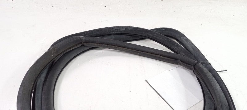 Nissan Altima On Body Door Jamb Seal Rear Left Back 2010 2009 2008 2007