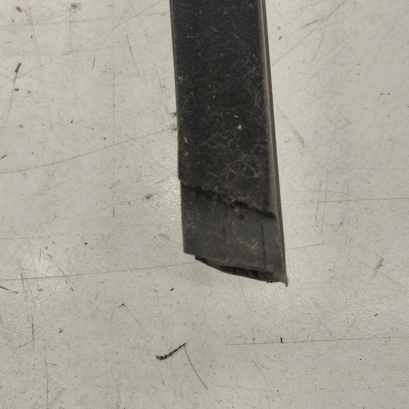 Volvo S60 Door Glass Window Weather Strip Trim Front Right Passenger  