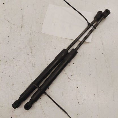 Chrysler 300 Hood Strut Shock Support  2017 2018 2019