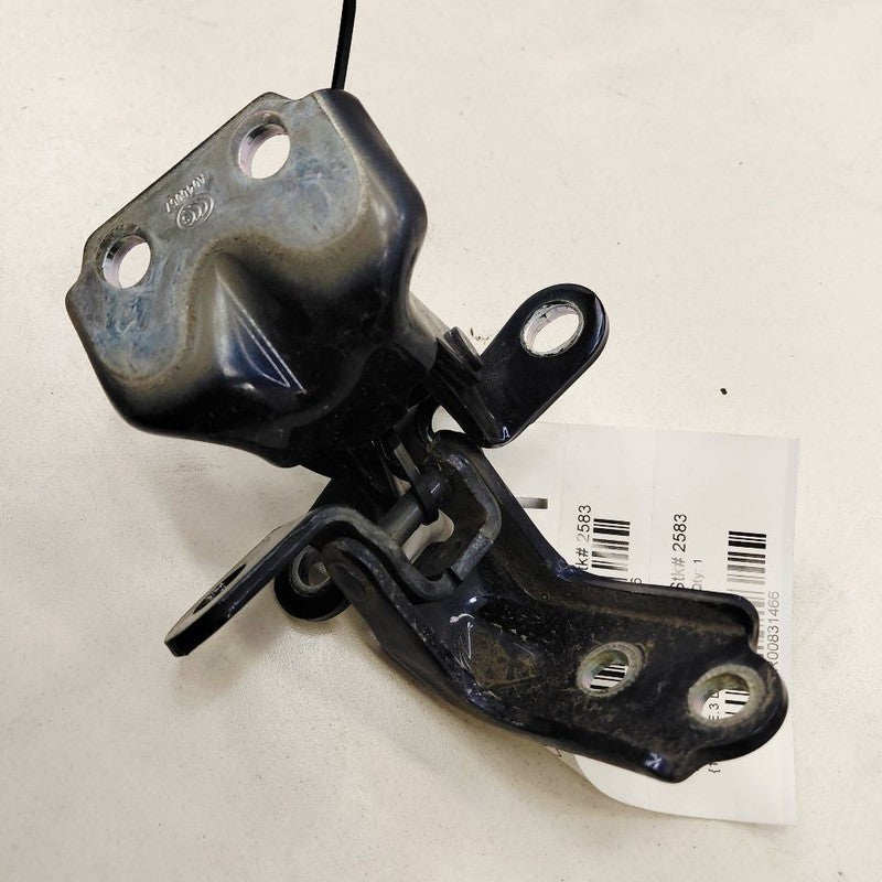 Kia Optima Door Hinge Set Left Driver Rear  2018 2017 2016 OEM