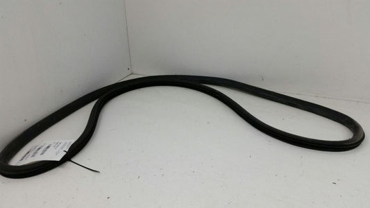 Chevy Cruze On Body Door Jamb Seal Gasket Front Right Passenger OEM 2012 2013