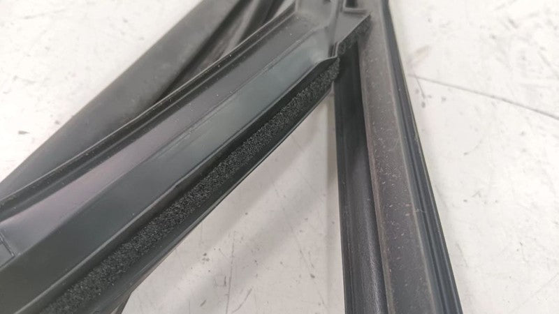 Nissan Rogue Door Glass Window Seal Rubber Left Rear Back  2014 2015 2016