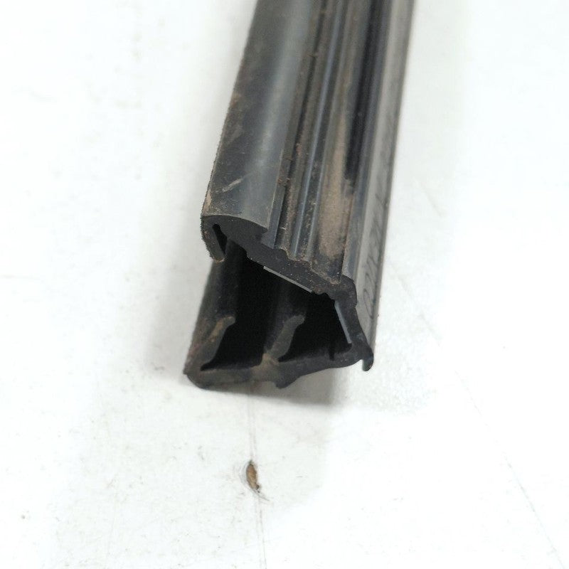 Ford Edge Door Glass Window Seal Rubber Right Passenger Rear Back 2019