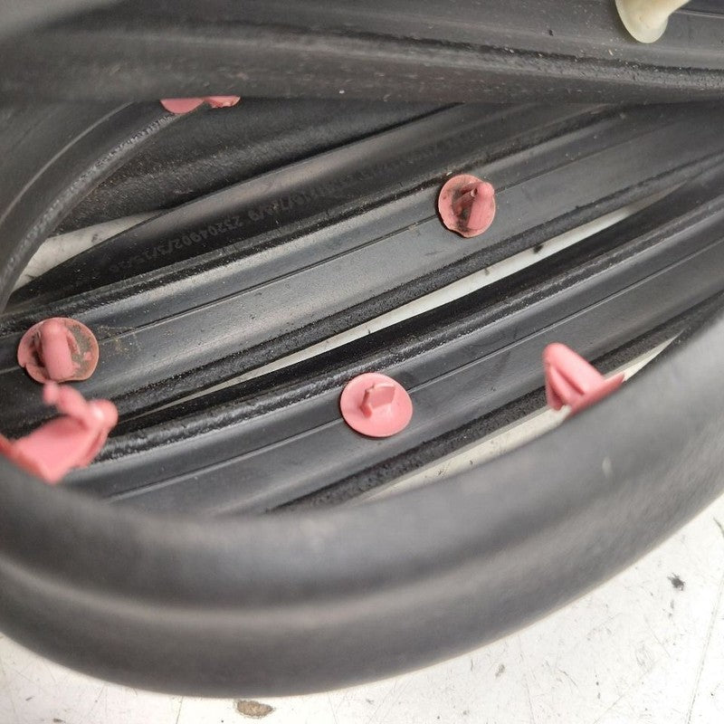 Chevy Volt On Door Seal Rubber Left Driver Front  2016 2017 2018 2019
