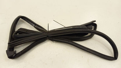 Infiniti G37 On Door Seal Rubber Left Rear Back 2010 2011 2012 2013