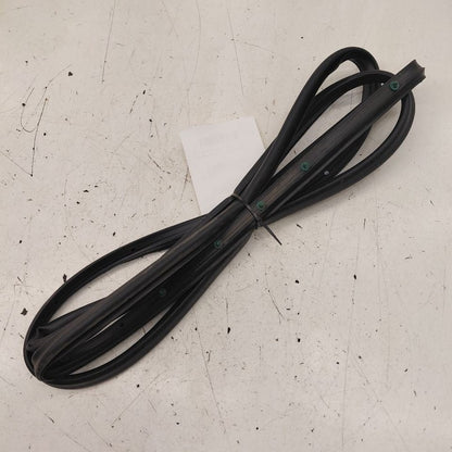 Chevy Volt On Door Seal Rubber Right Passenger Front  2019 2018 2017 2