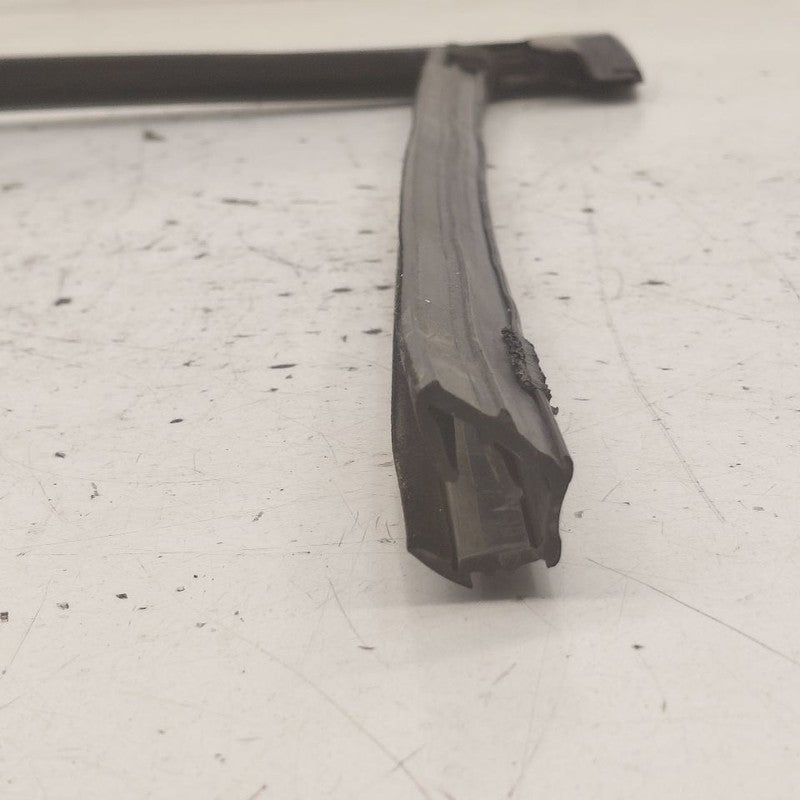 Ford Edge Door Glass Window Seal Rubber Right Passenger Front  2019 20