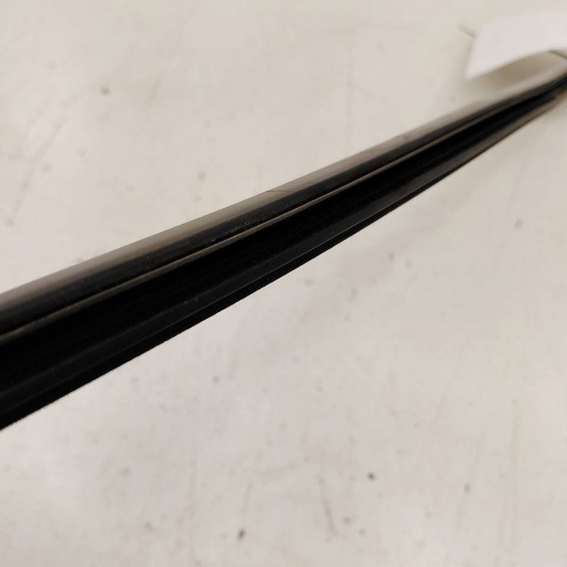 Chevy Trailblazer Door Glass Window Weather Strip Trim Rear Right Pass