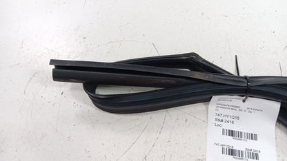 Hyundai Sonata Door Glass Window Seal Rubber Left Rear Back 2018 2019 