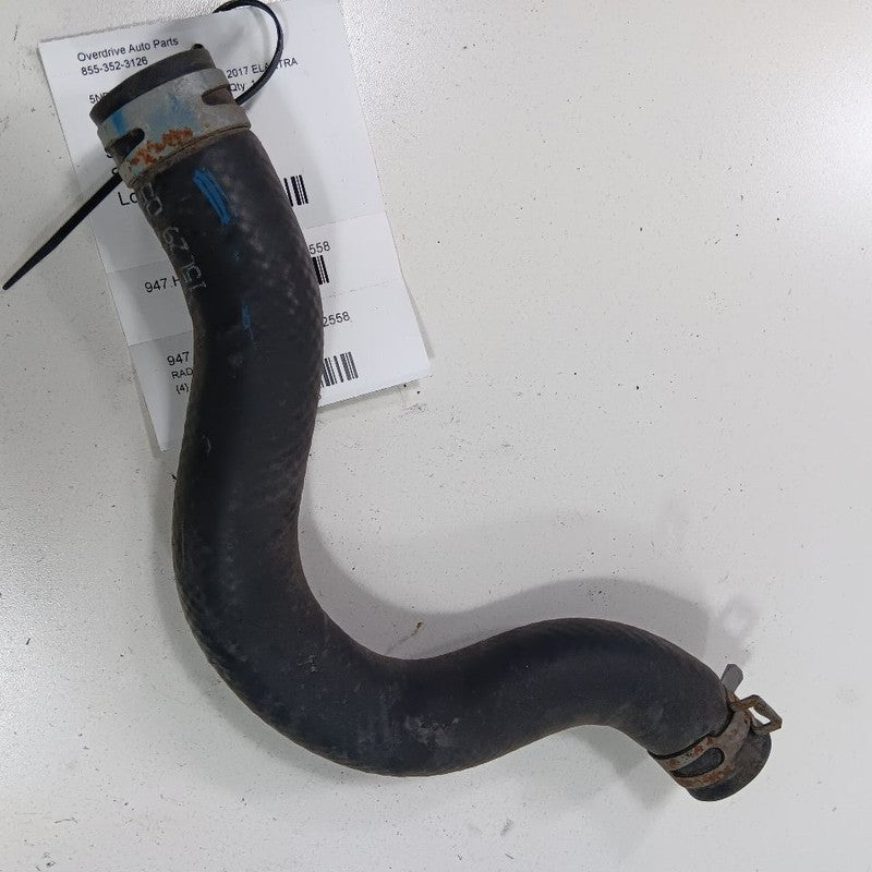 Hyundai Elantra Radiator Hose Line Tube  2.0 2017 2018 2019 2020 OEM