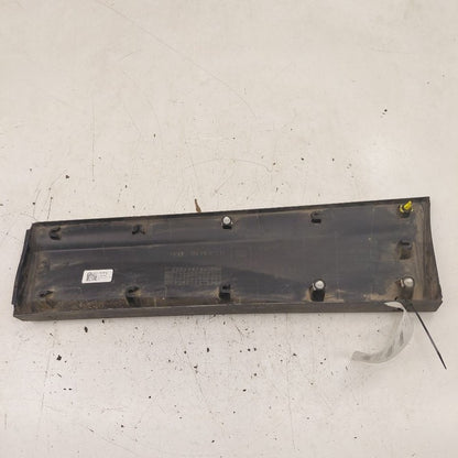 Chevy Equinox Door Molding Trim Strip Right Passenger Side Rear Back  