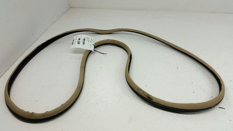 Honda Accord On Body Door Jamb Seal Gasket Front Right Passenger 2006 2007 OEM