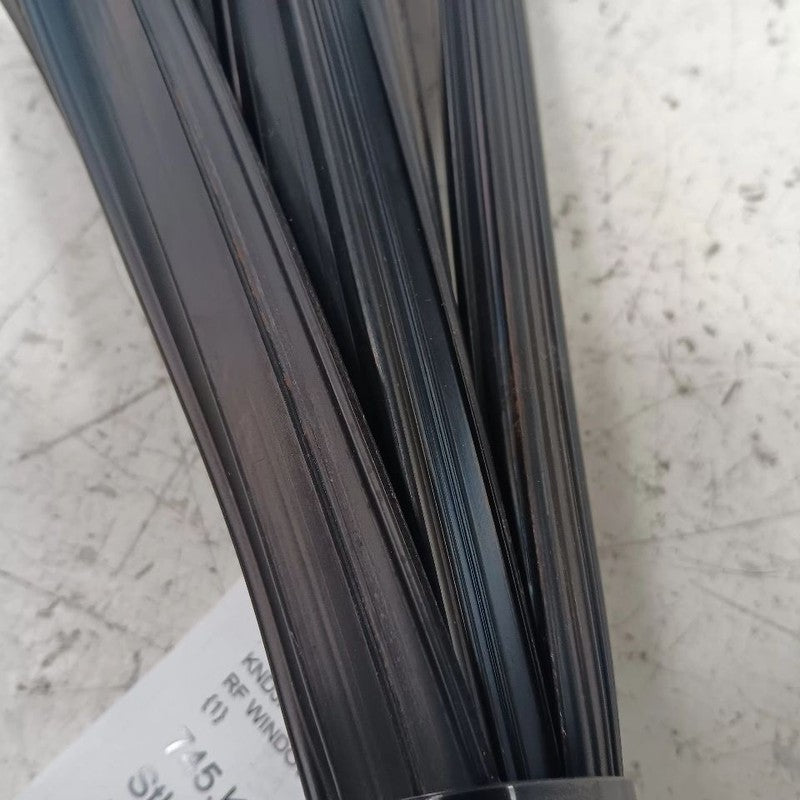 Kia Soul Door Glass Window Seal Rubber Right Passenger Front  2017 2018 2019