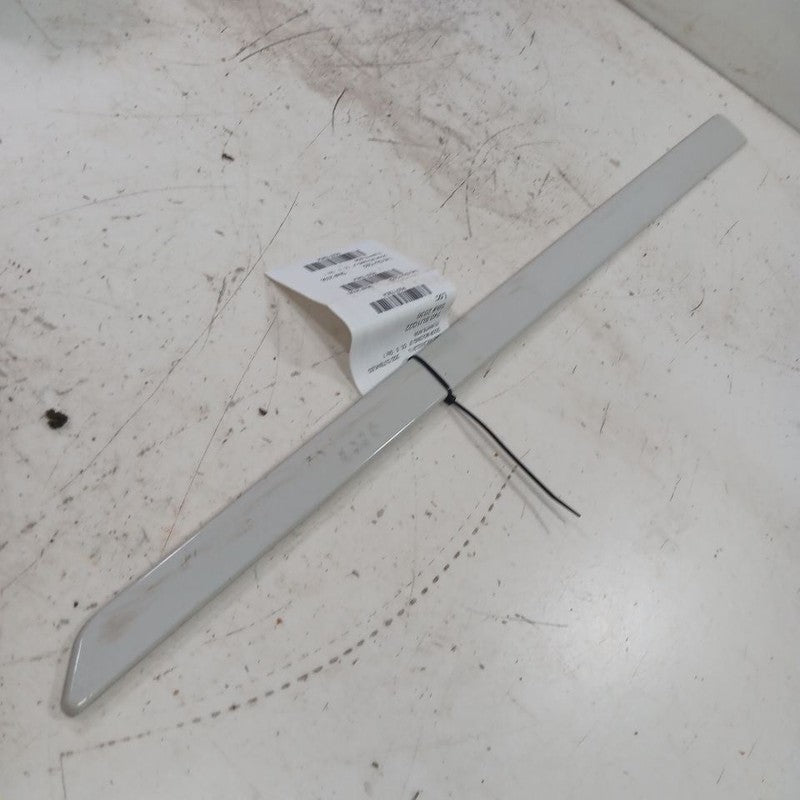 Outback Legacy Door Molding Trim Strip Left Driver Front  2025 2024 20