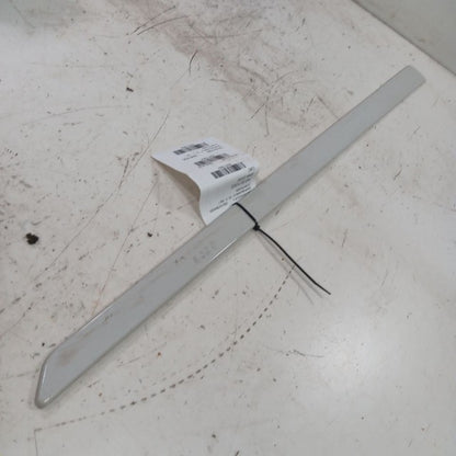 Outback Legacy Door Molding Trim Strip Left Driver Front  2025 2024 20