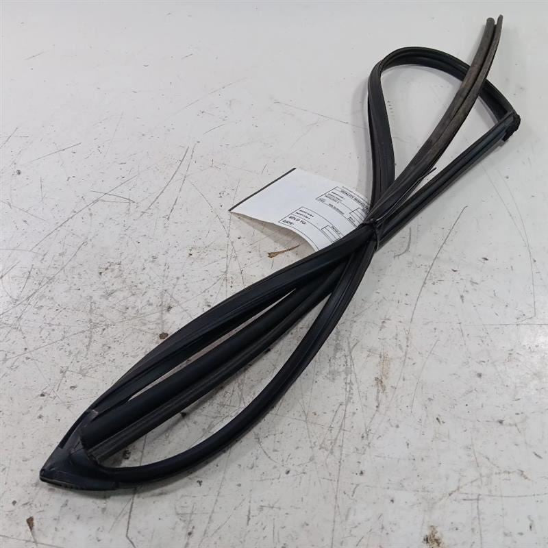 Toyota Rav 4 Door Glass Window Seal Rubber Right Passenger Front  2015 2016 2017