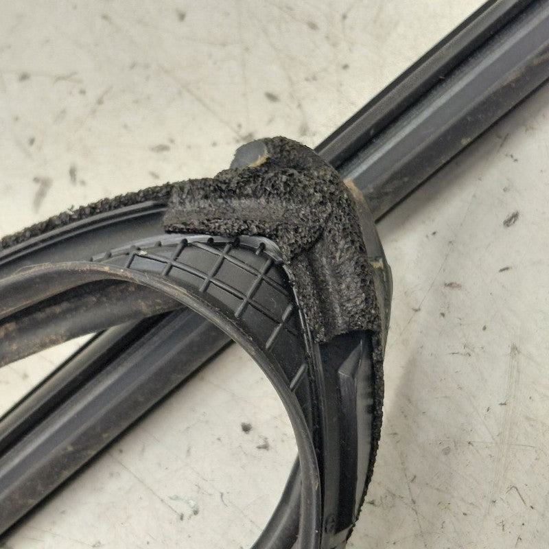 Honda CR-V Door Glass Window Seal Rubber Left Driver Rear Back  2019 2