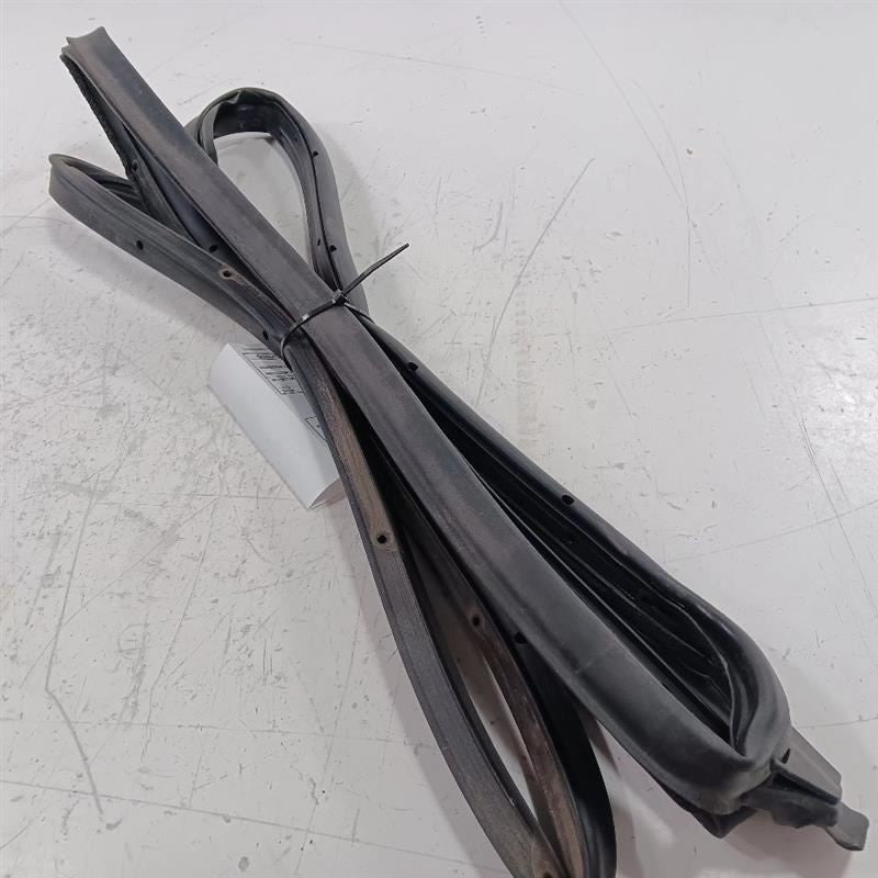 Mazda CX-3 On Door Seal Rubber Left Rear Back  2016 2017 2018 OEM