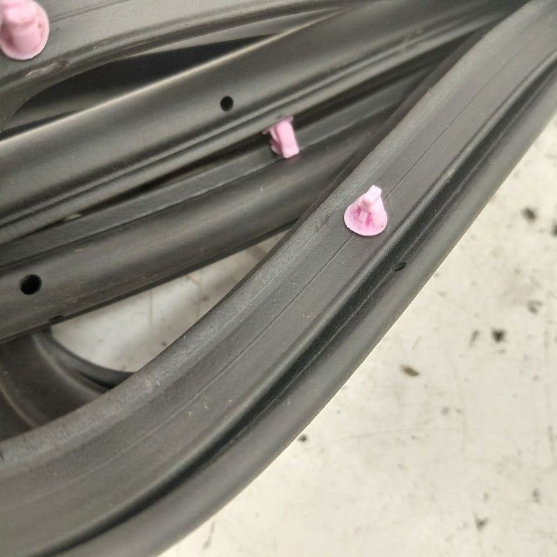 Mitsubishi Mirage On Door Seal Rubber Left Driver Front  2024 2023 202