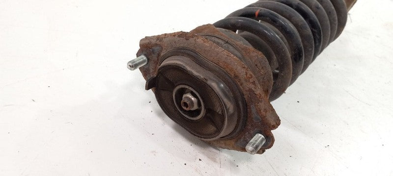 Strut Rear Fits 06-14 TRIBECA  OEM