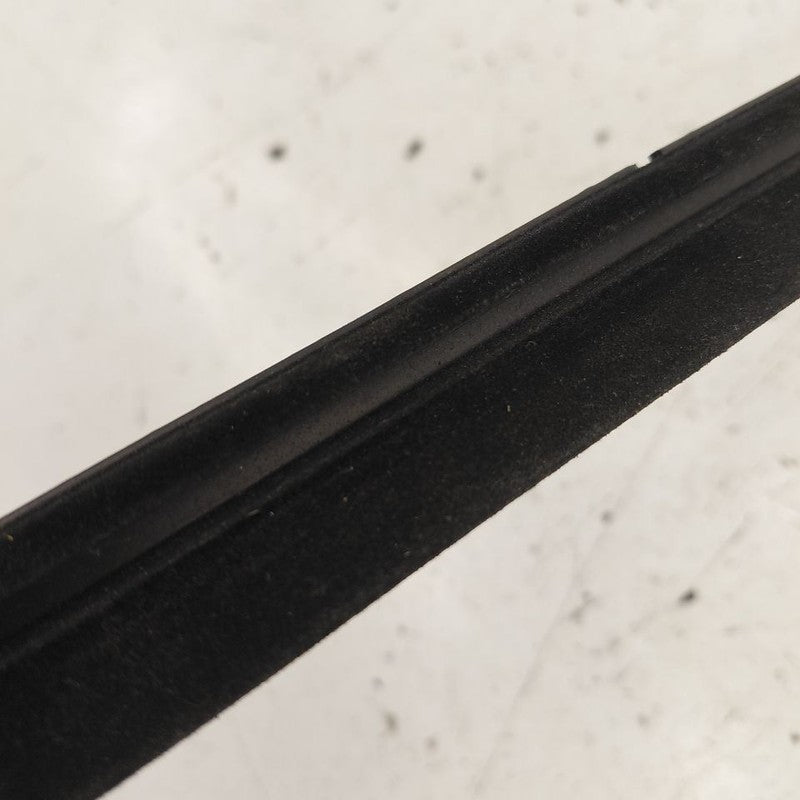 Chevy Volt Door Glass Window Weather Strip Trim Front Right Passenger 