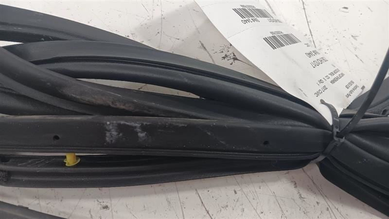 Honda Civic On Door Seal Rubber Left Rear Back  2016 2017 2018 2019 OE