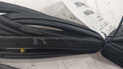 Honda Civic On Door Seal Rubber Left Rear Back  2016 2017 2018 2019 OE