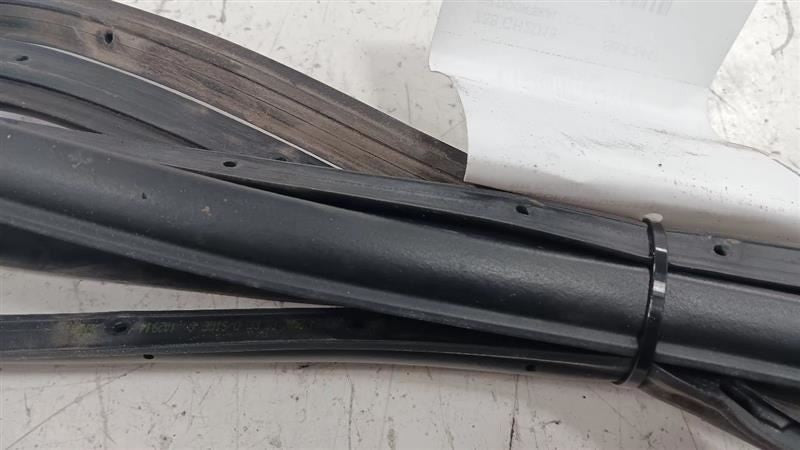Dodge Dart On Door Seal Rubber Right Passenger Rear Back  2013 2014 2015 2016