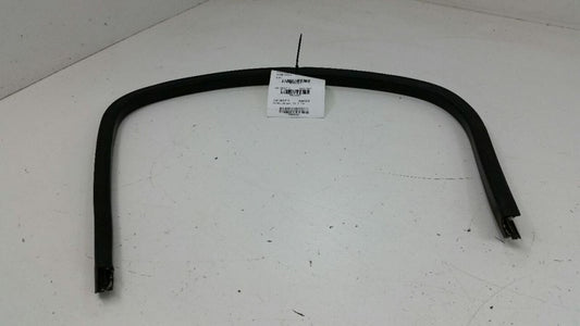 Chevy Impala Door Glass Window Seal Rubber Gasket Right Passenger Rear Back 2015