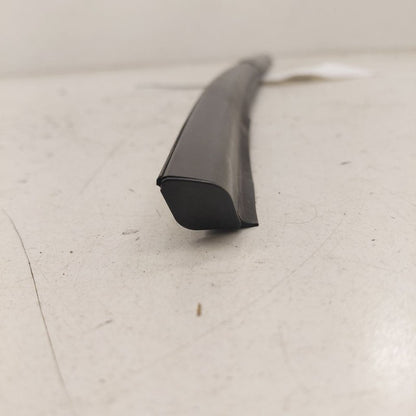 Hyundai Kona Door Glass Window Weather Strip Trim Rear Left Driver Bac