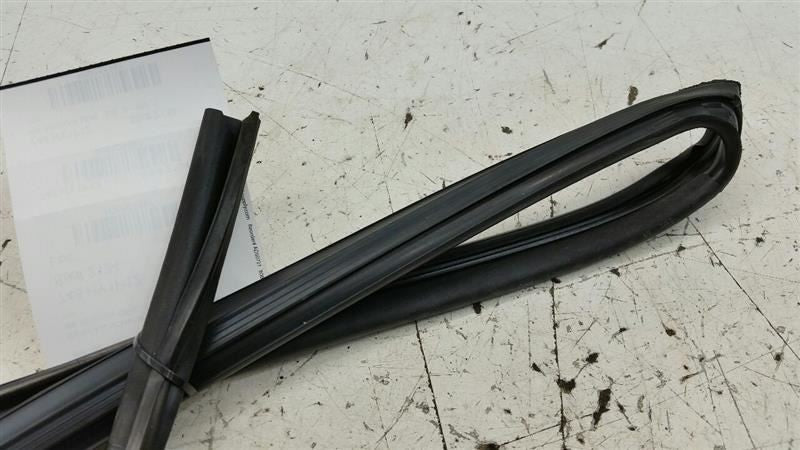 Hyundai Sonata Door Glass Window Seal Rubber Gasket Right Passenger Rear 2012