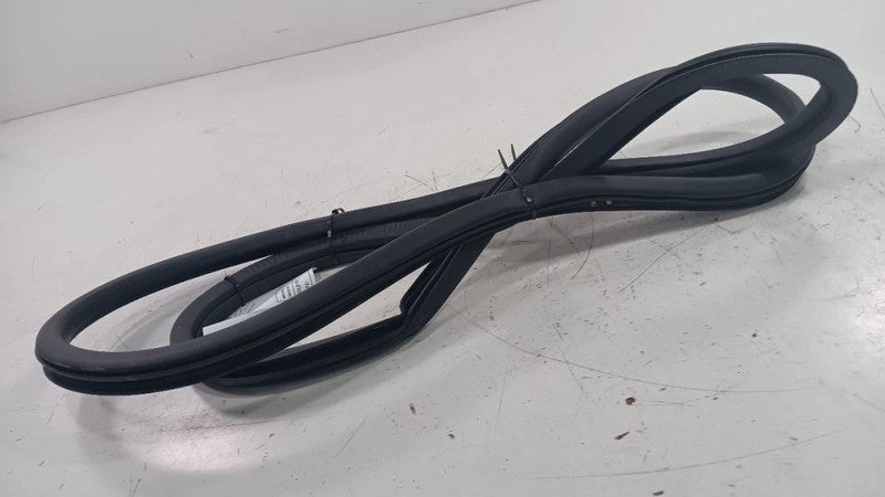 Chrysler 200 On Body Door Jamb Seal Rear Right Passenger Back  2015 20