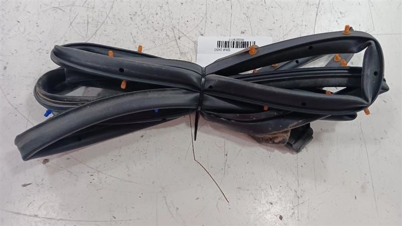Mazda CX-3 On Door Seal Rubber Left Rear Back  2019 2020 2021 2022 OEM
