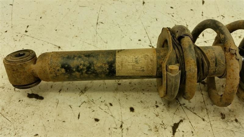 562104Z025 Strut Rear Back S Fits 00-06 Nissan Sentra