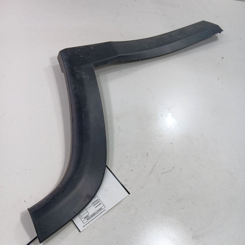 Jeep Compass Door Molding Trim Strip Left Driver Side Rear Back  2018 2019 2020 