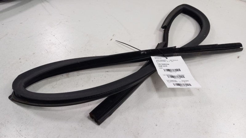 Chevy Trailblazer Door Glass Window Seal Rubber Right Passenger Front 