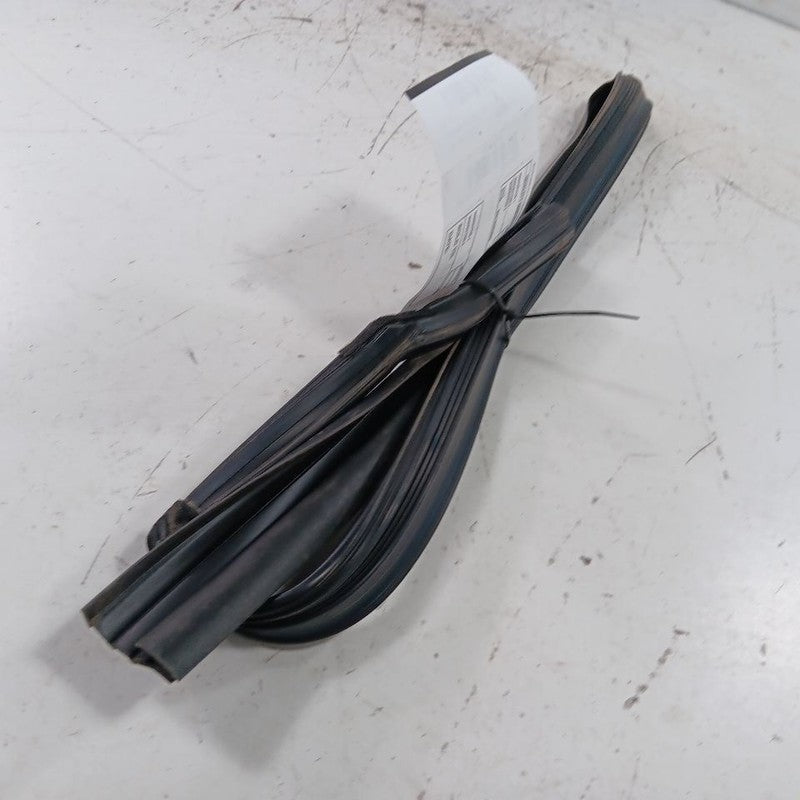 Kia Optima Door Glass Window Seal Rubber Left Driver Rear Back  2020 2019 2018 