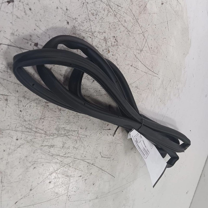 Hyundai Elantra On Door Seal Rubber Right Passenger Front  2017 2018 2